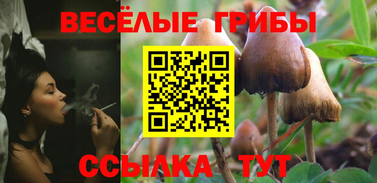 Псилоцибиновые грибы GOLDEN TEACHER  Вход с VPN  Красноперекопск 
